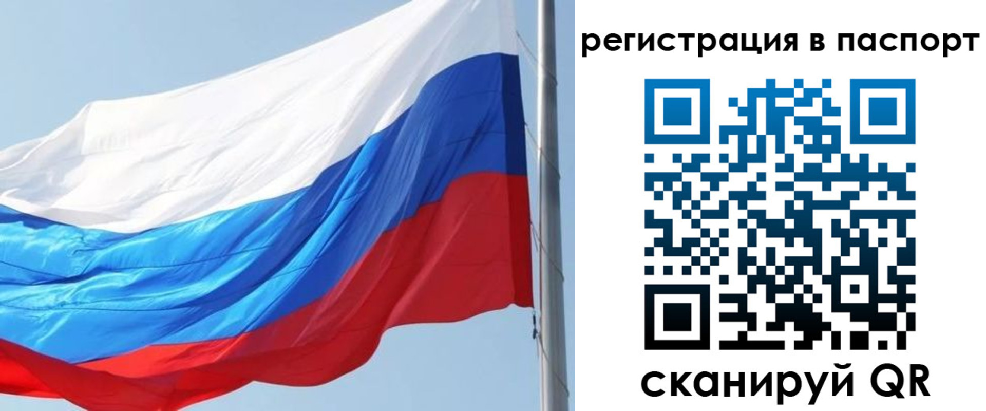 прописка законно в Сосновке